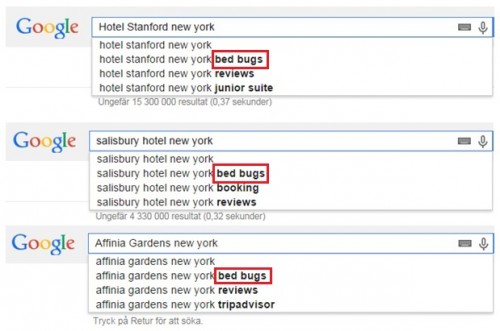 newyorkbedbugshotel